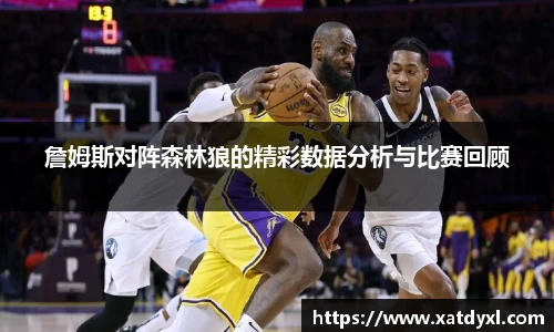 詹姆斯对阵森林狼的精彩数据分析与比赛回顾